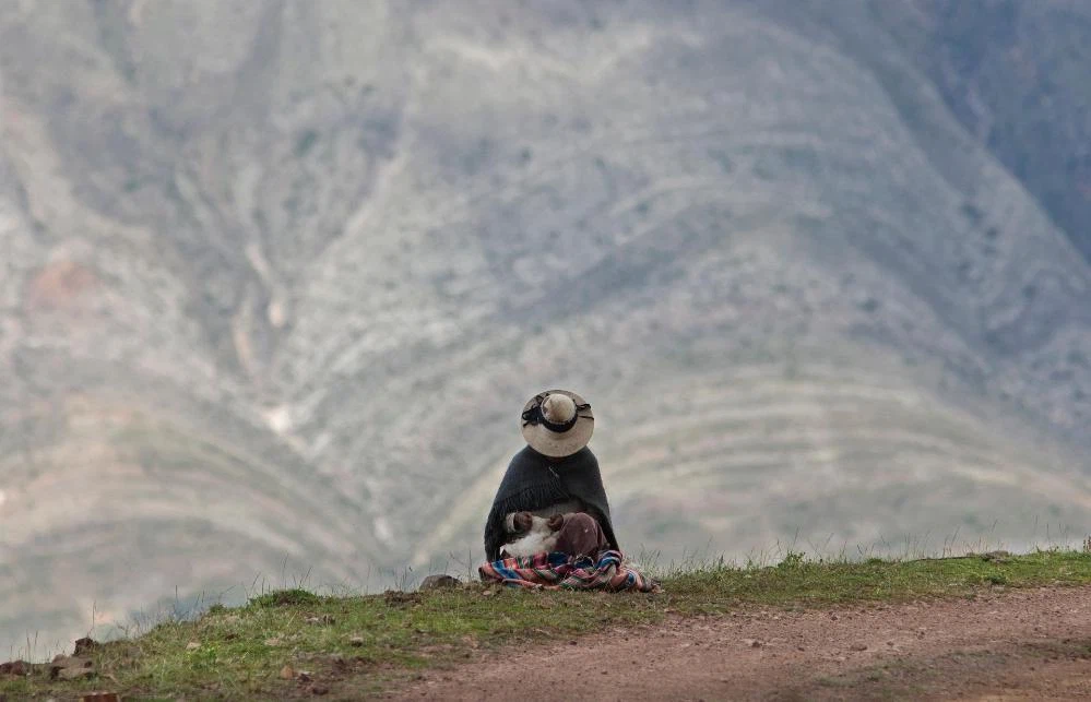 Daniel Coria - Pixabay