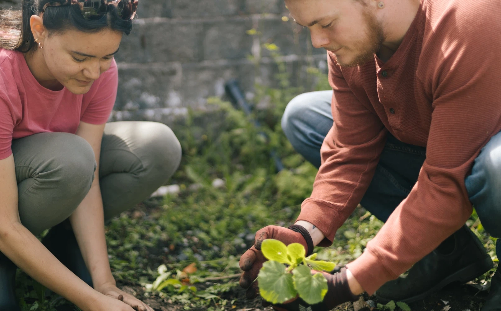 two people gardening