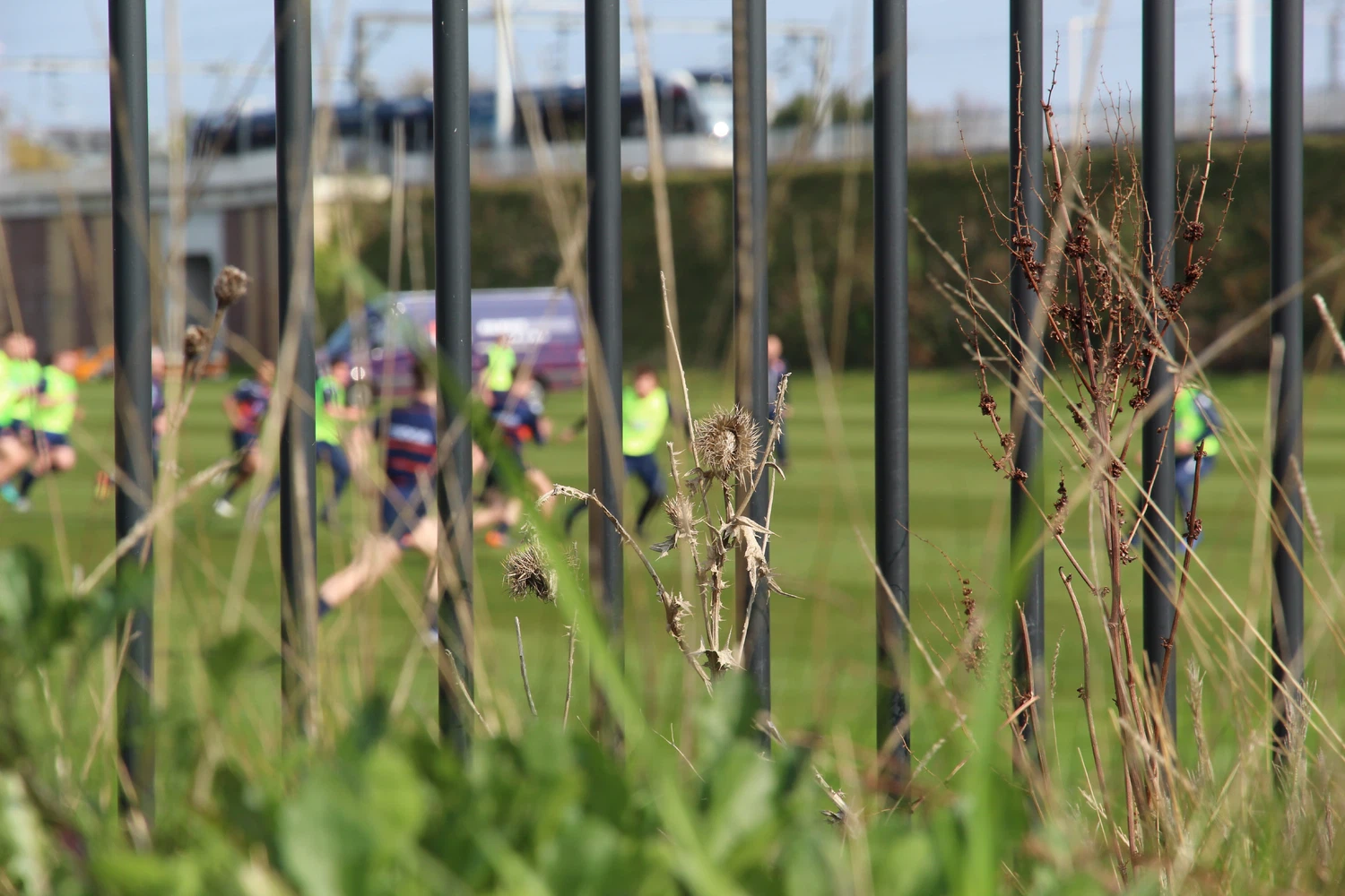 Rugby Players Practicing