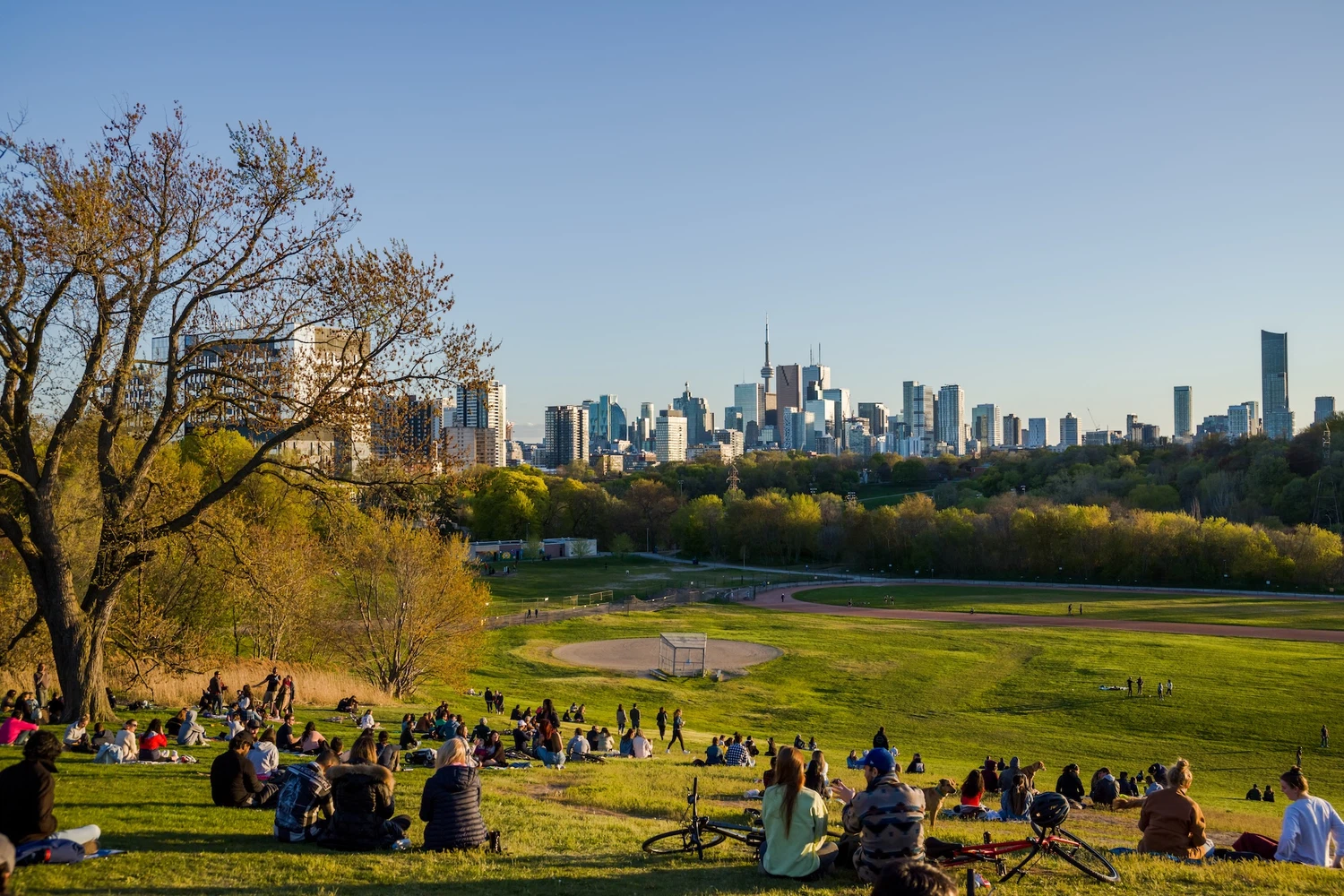 Toronto, ontario