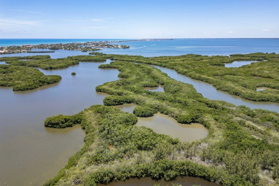 Long, winding tracks of plant-covered land rise just above the surface of the water in Florida's Indian River Lagoon.