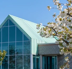 Regent_Spring_Blossoms_banner.jpg