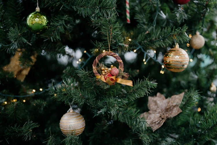 Advent 5