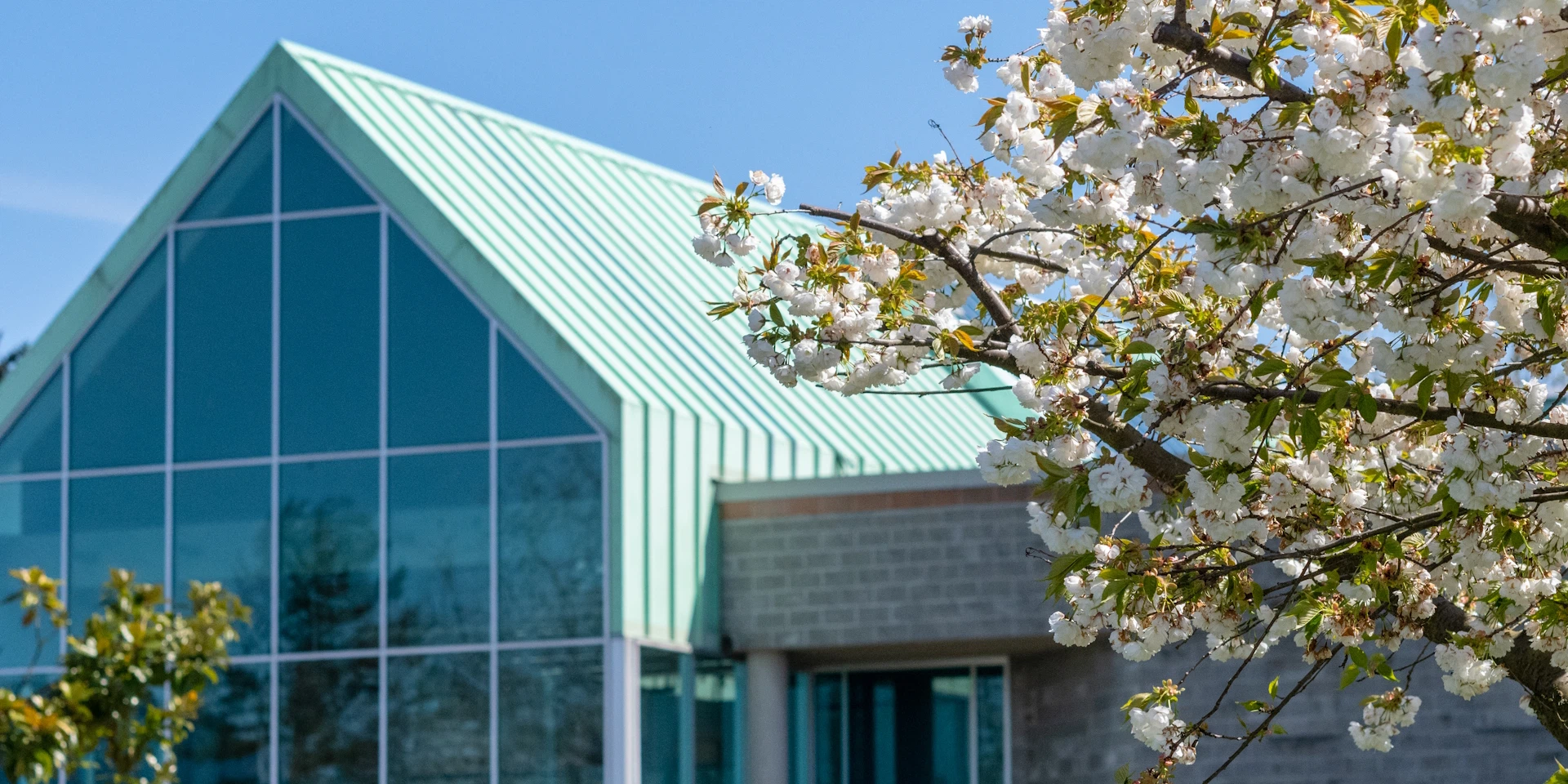 Regent_Spring_Blossoms_banner.jpg