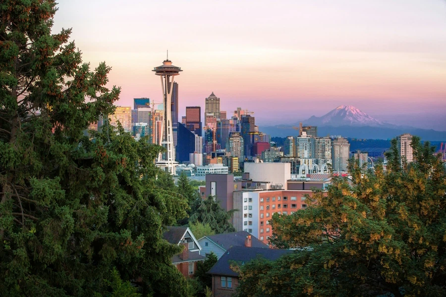 A view of the Seattle skyline from a nearby hill. Photo by Luca Micheli on Unsplash.